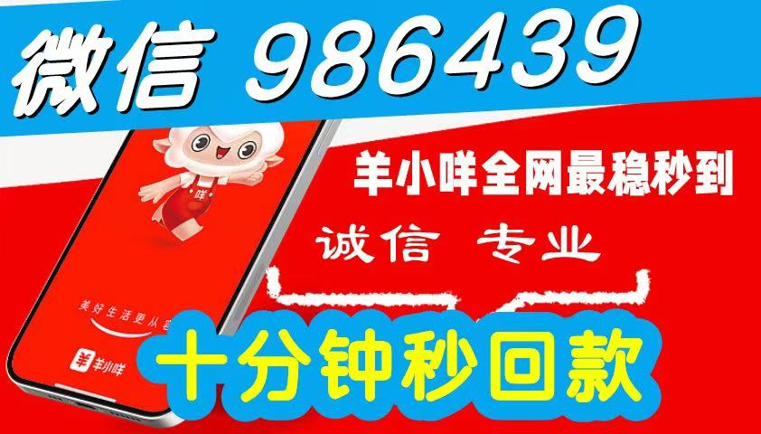 2026 秒到商家一手教程：羊小咩便荔卡包怎么提现秒到的？更新便荔卡包最新套法秒到方式